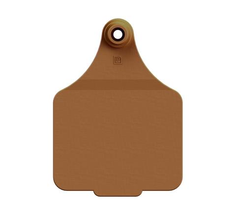 MAXI BLANK TAG (11x COLOURS)