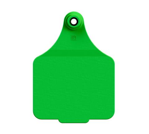 MAXI BLANK TAG (11x COLOURS)