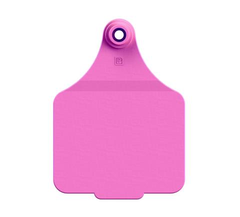 MAXI BLANK TAG (11x COLOURS)