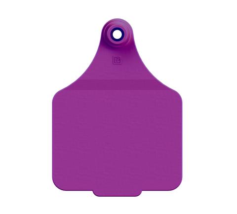 MAXI BLANK TAG (11x COLOURS)