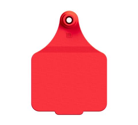 VISUAL MANAGEMENT TAGS (MAXI)