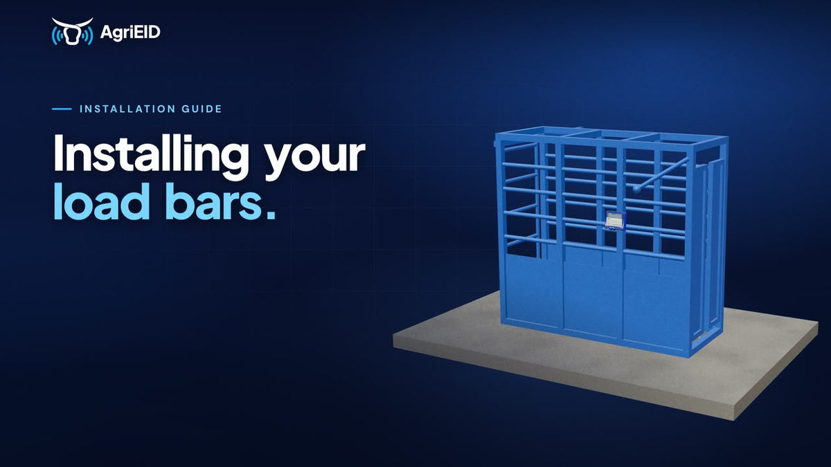 Watch the load bars and the platform go in.