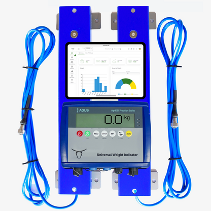 BT Ultra Universal Load Bars