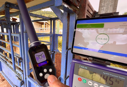 Cattle Scales and NLIS Tag Reader bundle with free app and cloud software 