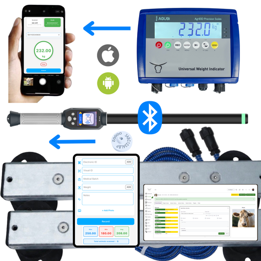 Integrated Cattle Scales and NLIS Tag Reader