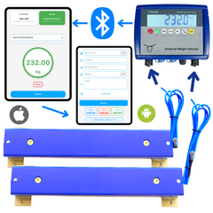 Digital Farm System - Scales + indicator