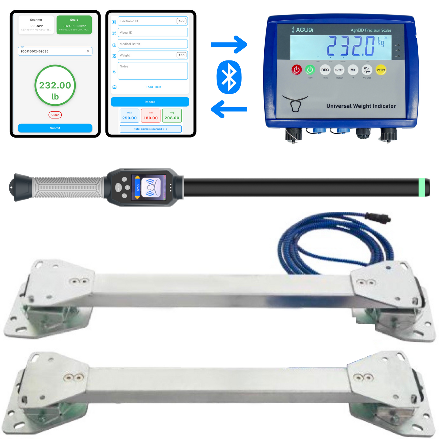 Cattle Scales with Bluetooth data stream and free mobile app and cloud access