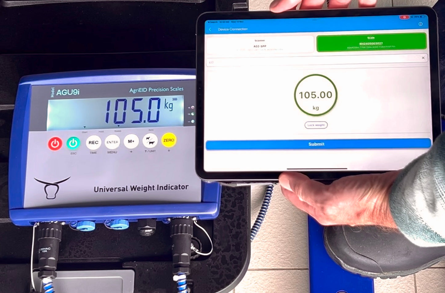 Free Bluetooth Software Cattle Management 