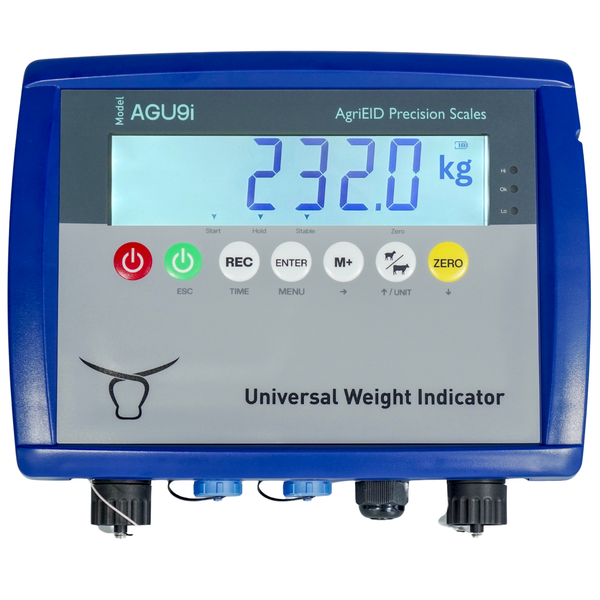 Digital indicator