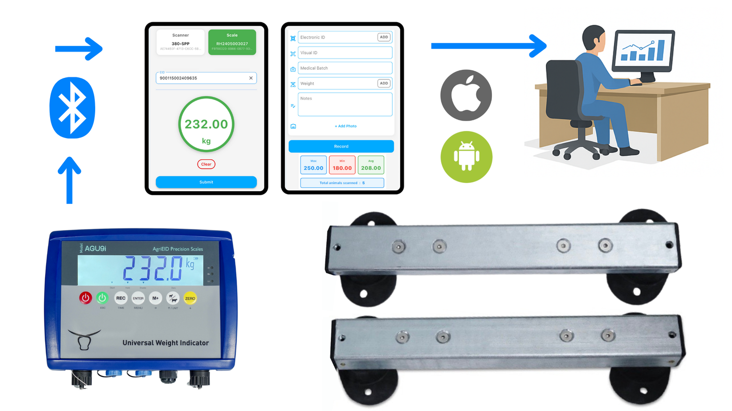 Cattle Management Software and Scales 