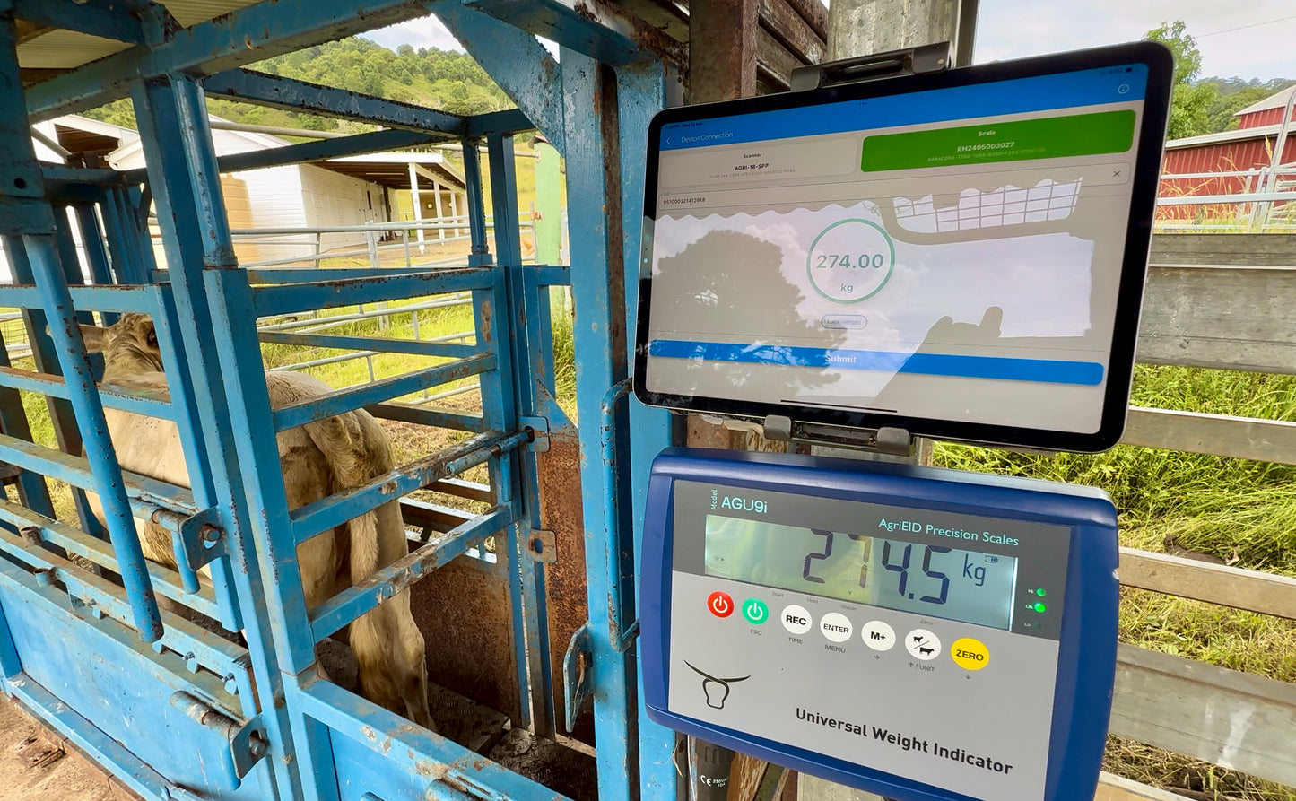 Cattle Scales and Software 