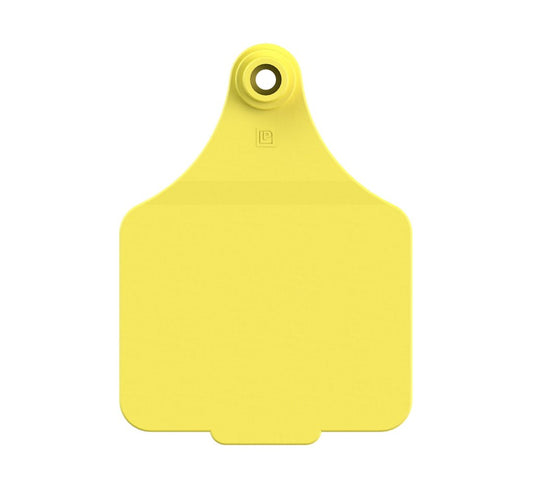MAXI BLANK TAG (11x COLOURS)