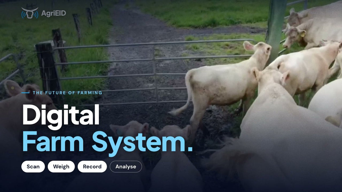 How it works in the yards