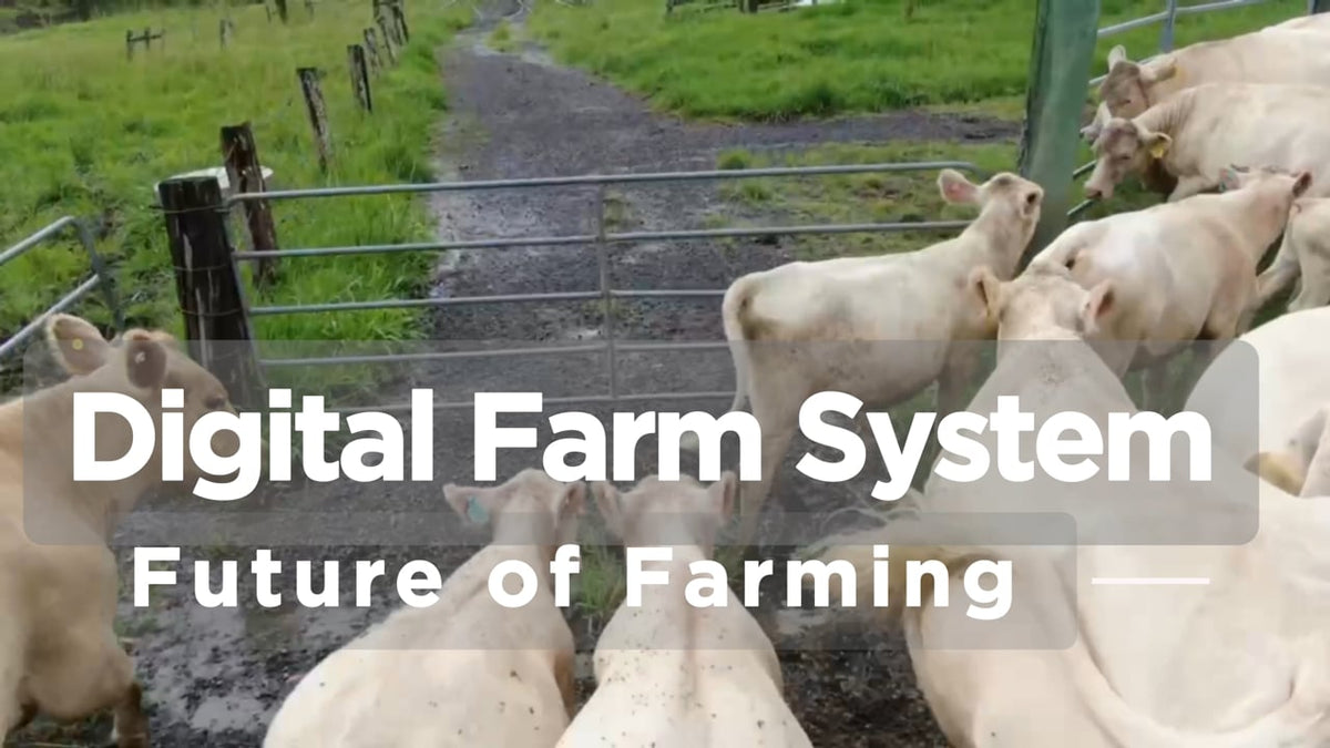 Digital Farm System
